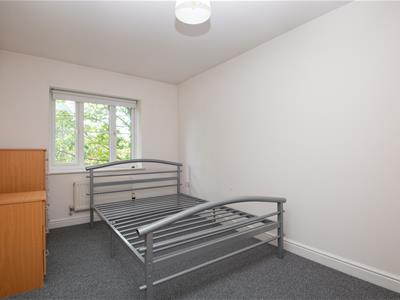 Picture 22